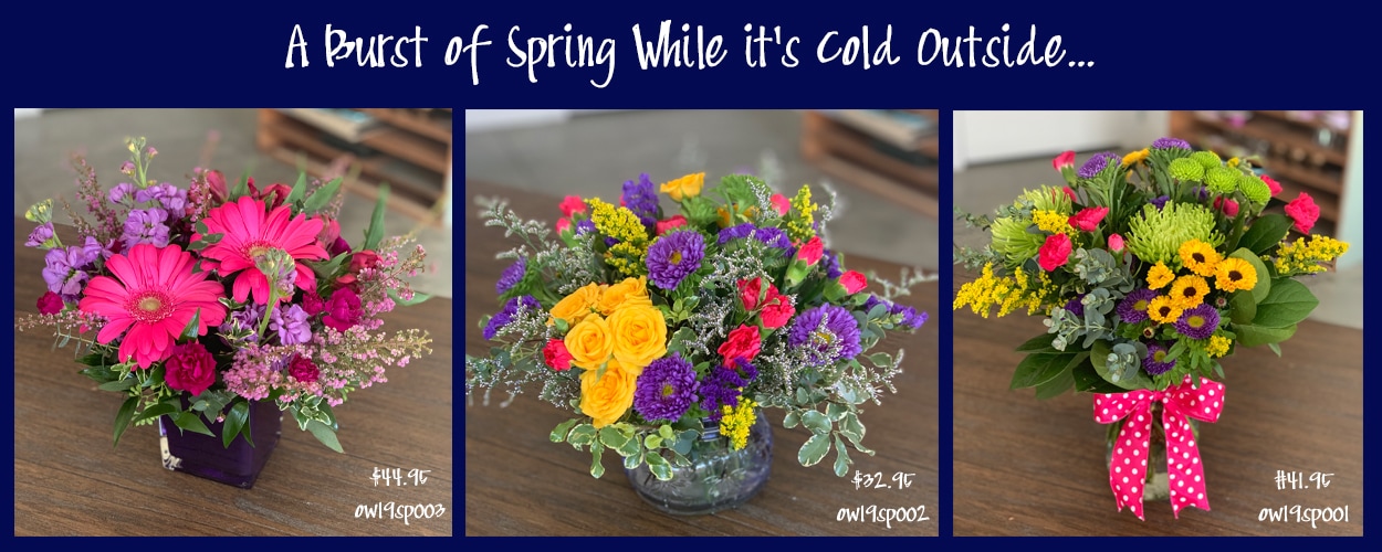 Lawrence Florist Flower Delivery by Owens Flower Shop Inc.